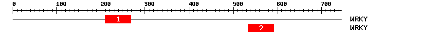 Signature Domain