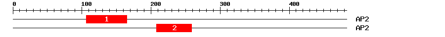 Signature Domain