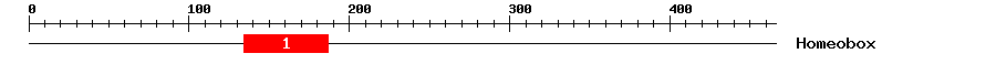 Signature Domain