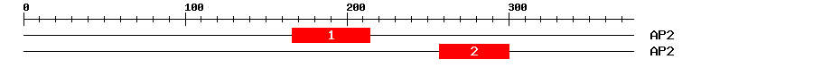 Signature Domain