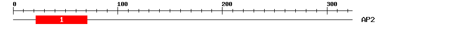 Signature Domain