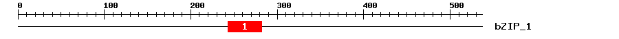 Signature Domain