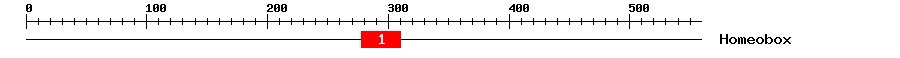 Signature Domain