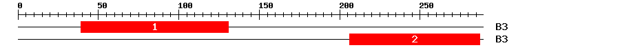 Signature Domain