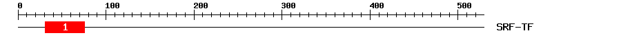 Signature Domain