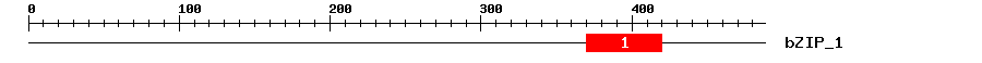 Signature Domain