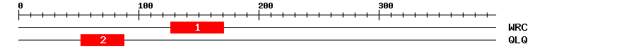 Signature Domain