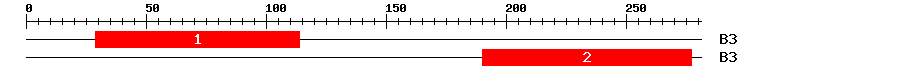 Signature Domain