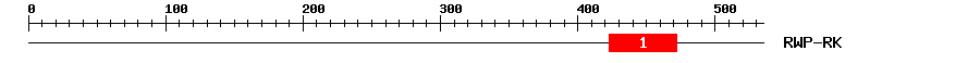 Signature Domain