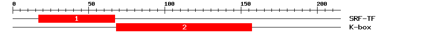 Signature Domain