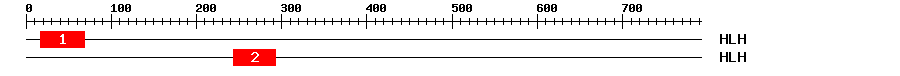 Signature Domain
