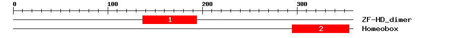 Signature Domain
