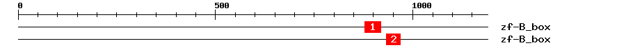 Signature Domain