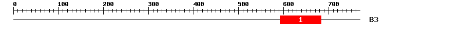 Signature Domain