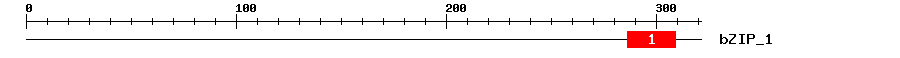 Signature Domain