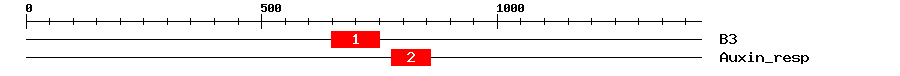 Signature Domain