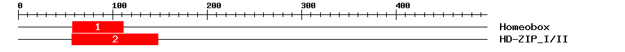 Signature Domain