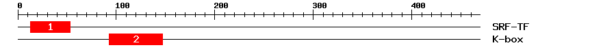 Signature Domain