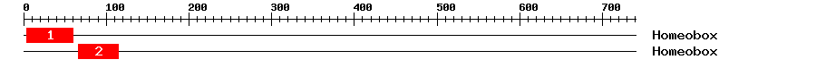 Signature Domain