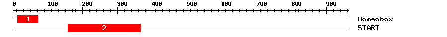 Signature Domain