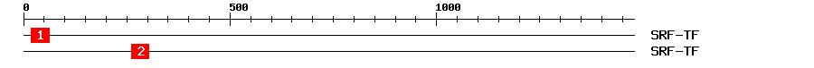 Signature Domain
