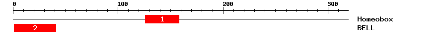 Signature Domain