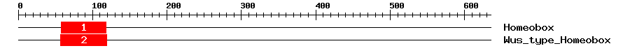 Signature Domain