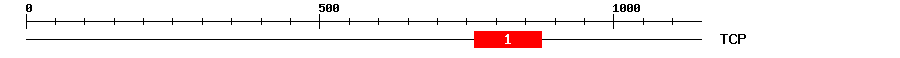 Signature Domain