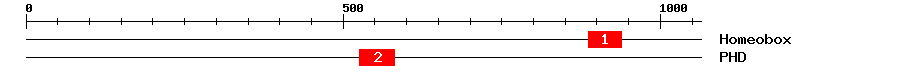 Signature Domain