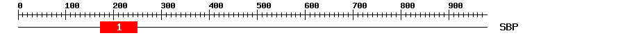 Signature Domain