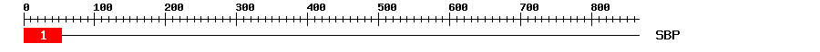 Signature Domain