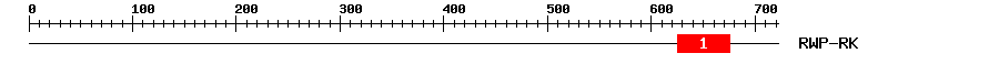 Signature Domain