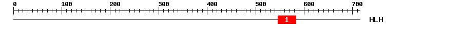 Signature Domain
