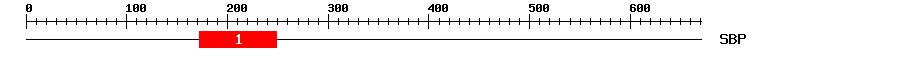 Signature Domain