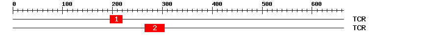 Signature Domain