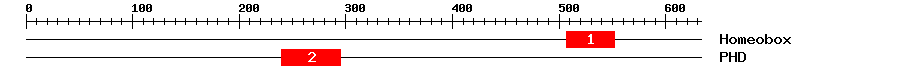 Signature Domain