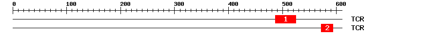 Signature Domain