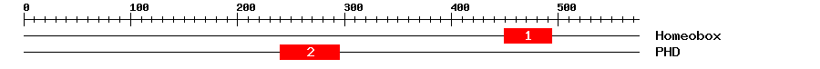 Signature Domain