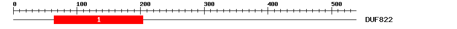 Signature Domain