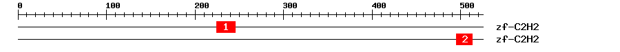 Signature Domain