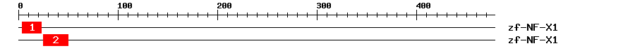 Signature Domain