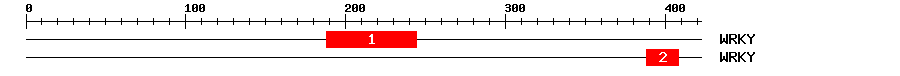 Signature Domain