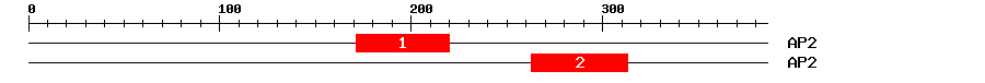 Signature Domain
