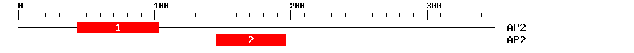 Signature Domain