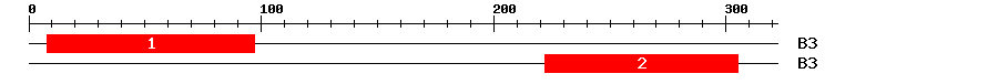 Signature Domain