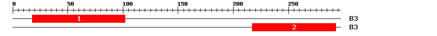Signature Domain