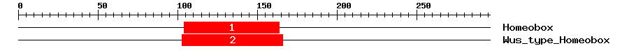 Signature Domain