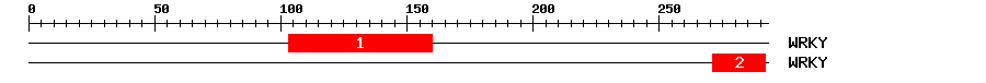Signature Domain
