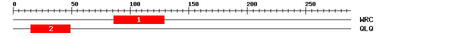 Signature Domain