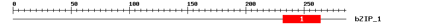 Signature Domain